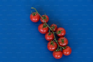 a bunch of tomatoes on a blue surface