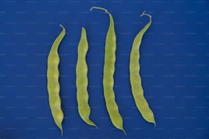 three pea pods on a blue background