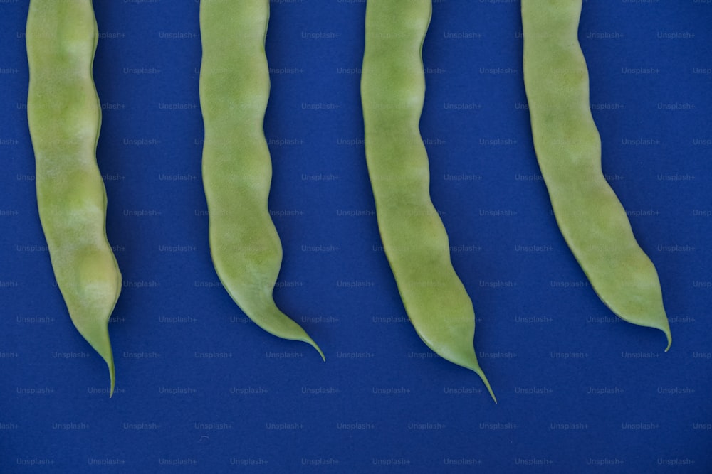 three peas are shown on a blue surface