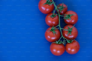 Un manojo de tomates sentado encima de una superficie azul