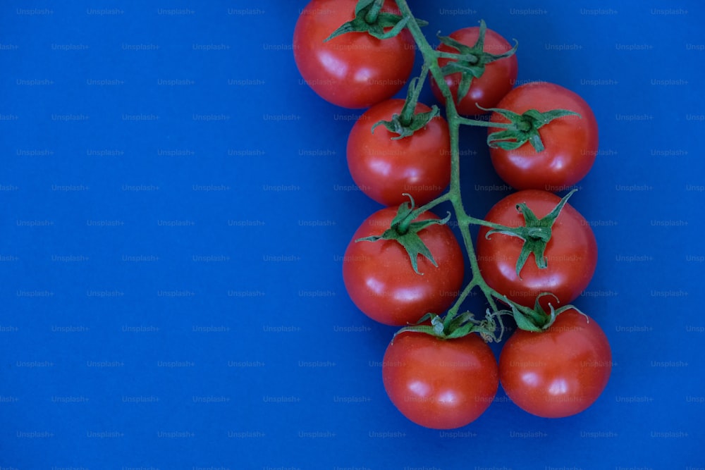 a bunch of tomatoes sitting on top of a blue surface
