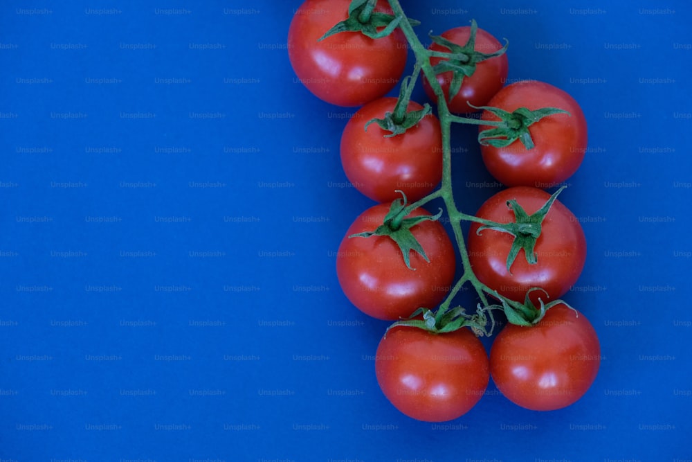 a bunch of tomatoes sitting on top of a blue surface