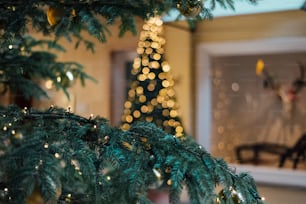 背景にライトを持つクリスマスツリーの接写