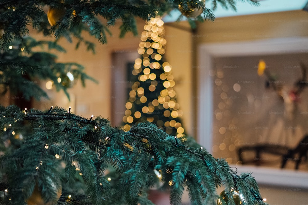 a close up of a christmas tree with lights in the background