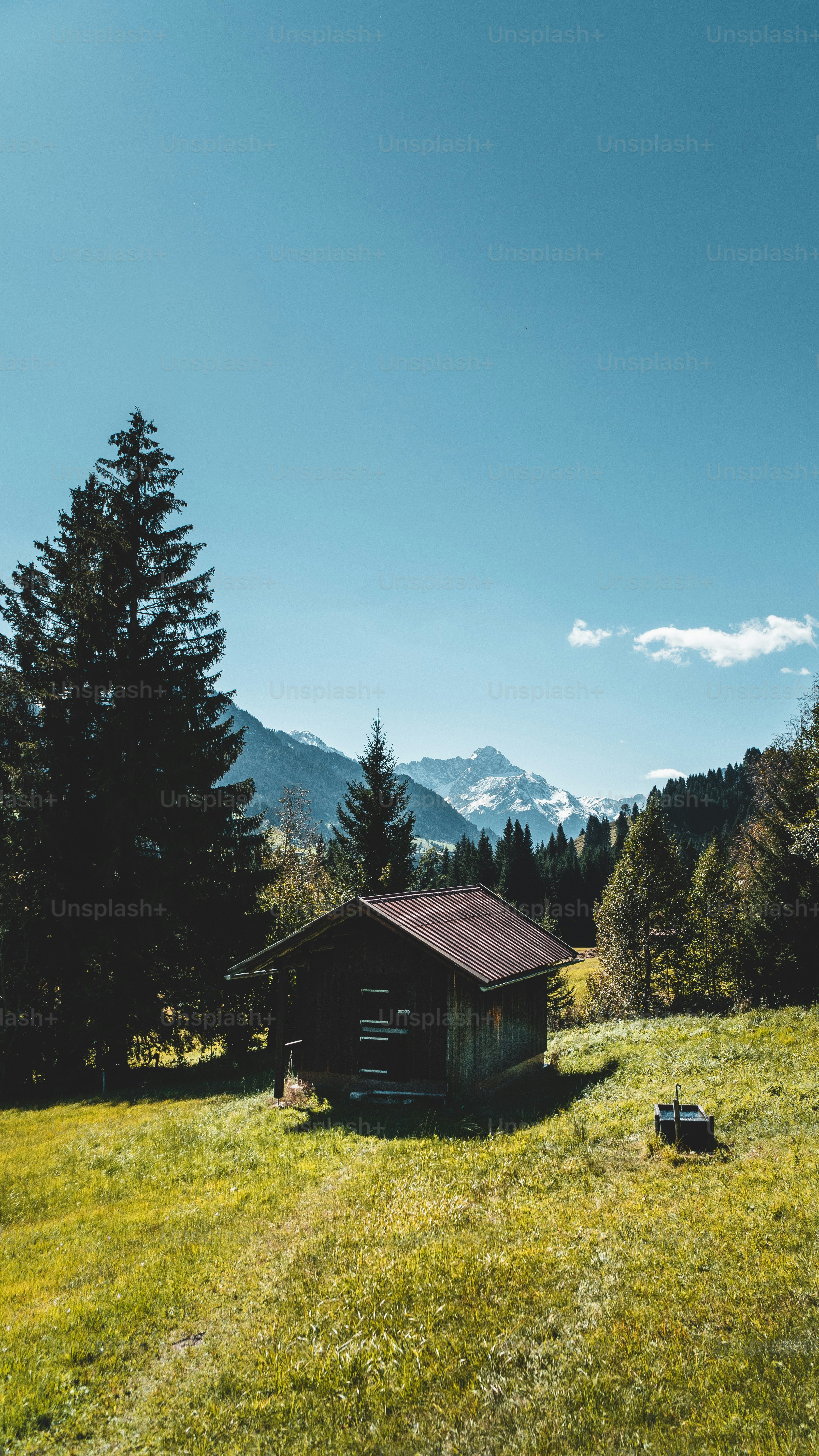 une petite cabane dans un champ avec des montagnes en arrière-plan