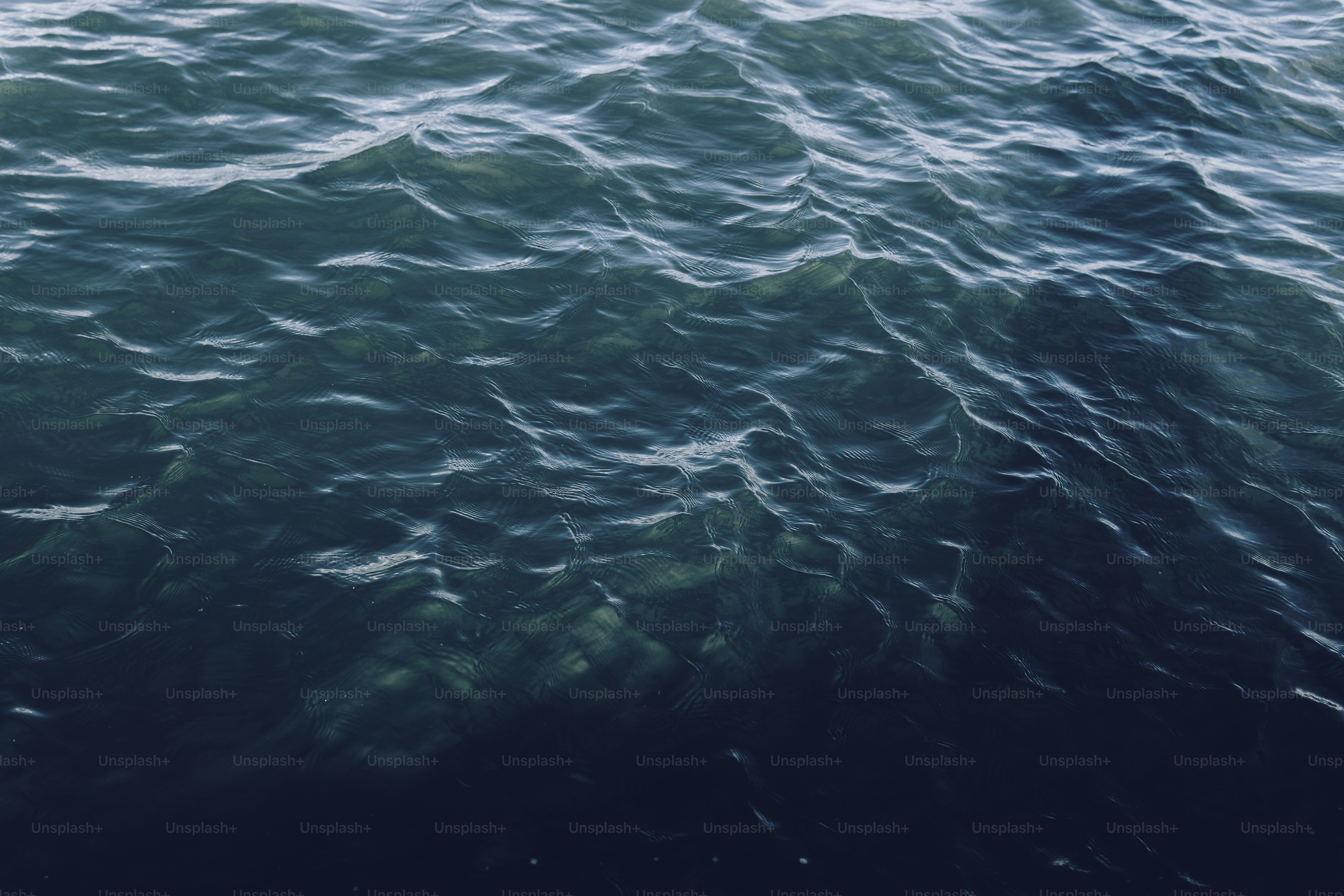 un grand plan d’eau avec un bateau dedans