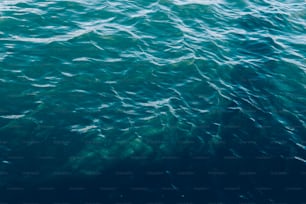 a large body of water with a boat in it