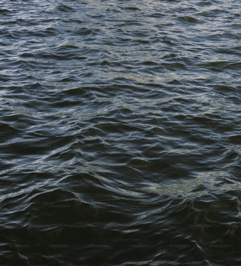 a boat floating on top of a large body of water