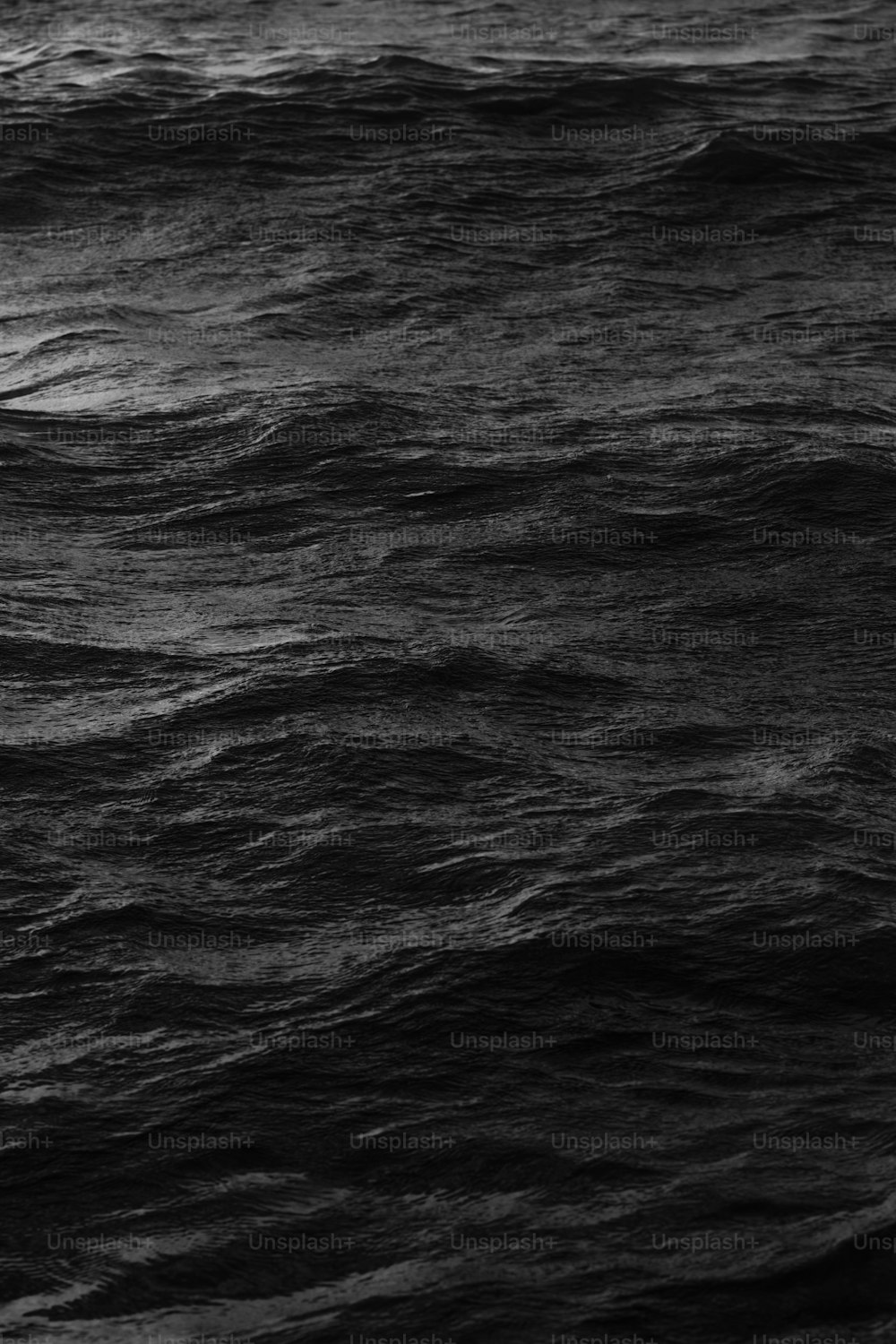 Una foto in bianco e nero di uno specchio d'acqua