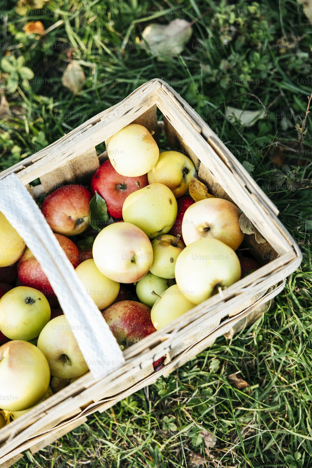 uma cesta de maçãs sentada na grama