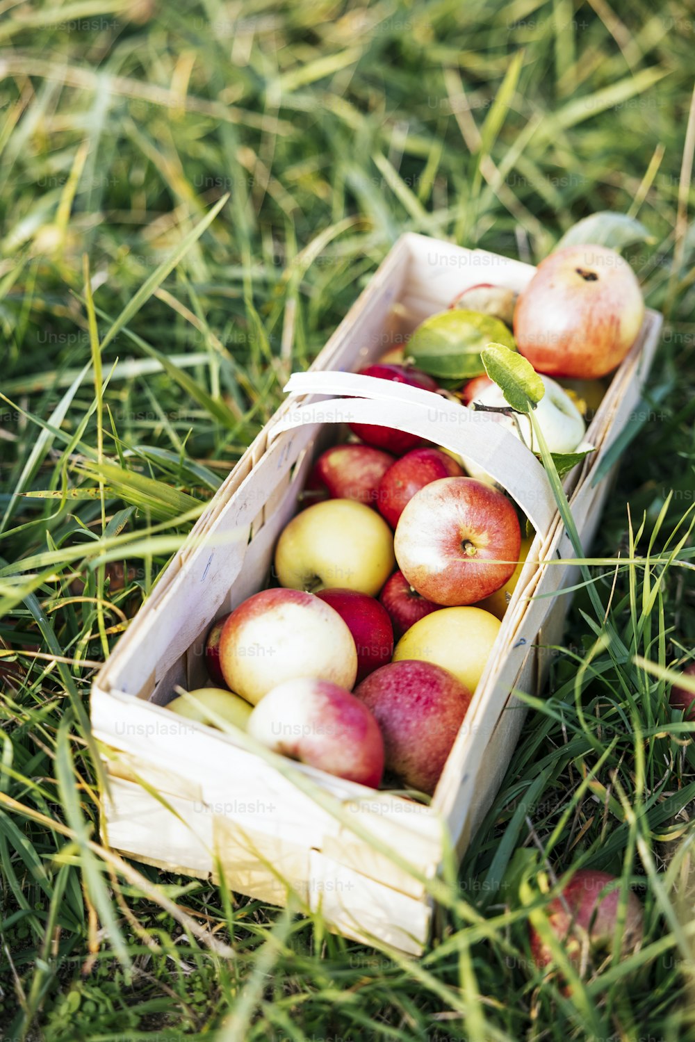 a basket of apples sitting in the grass