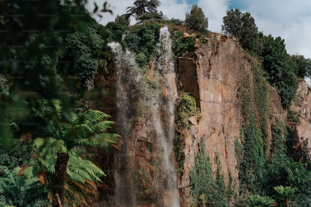 Una cascada muy alta en medio de un bosque