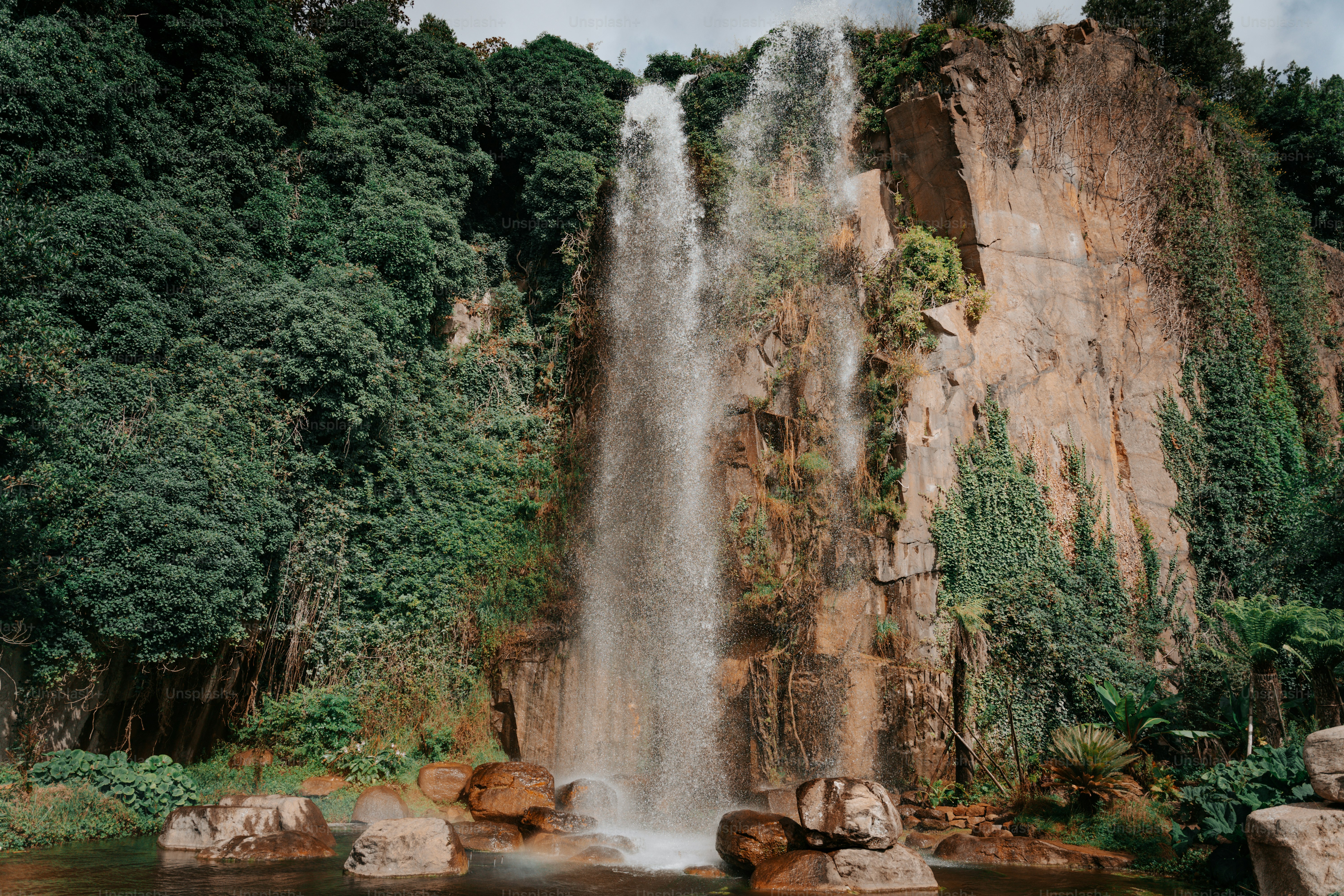 Voyage au Rwanda : gorilles, volcans et safaris inoubliables