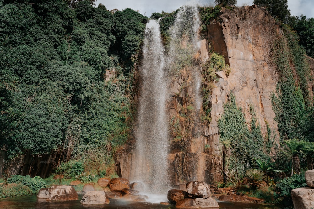 a very tall waterfall in the middle of a forest