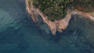 an aerial view of an island in the middle of the ocean