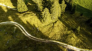 an aerial view of a winding road in the middle of a green field