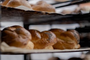 a bunch of breads that are on a shelf