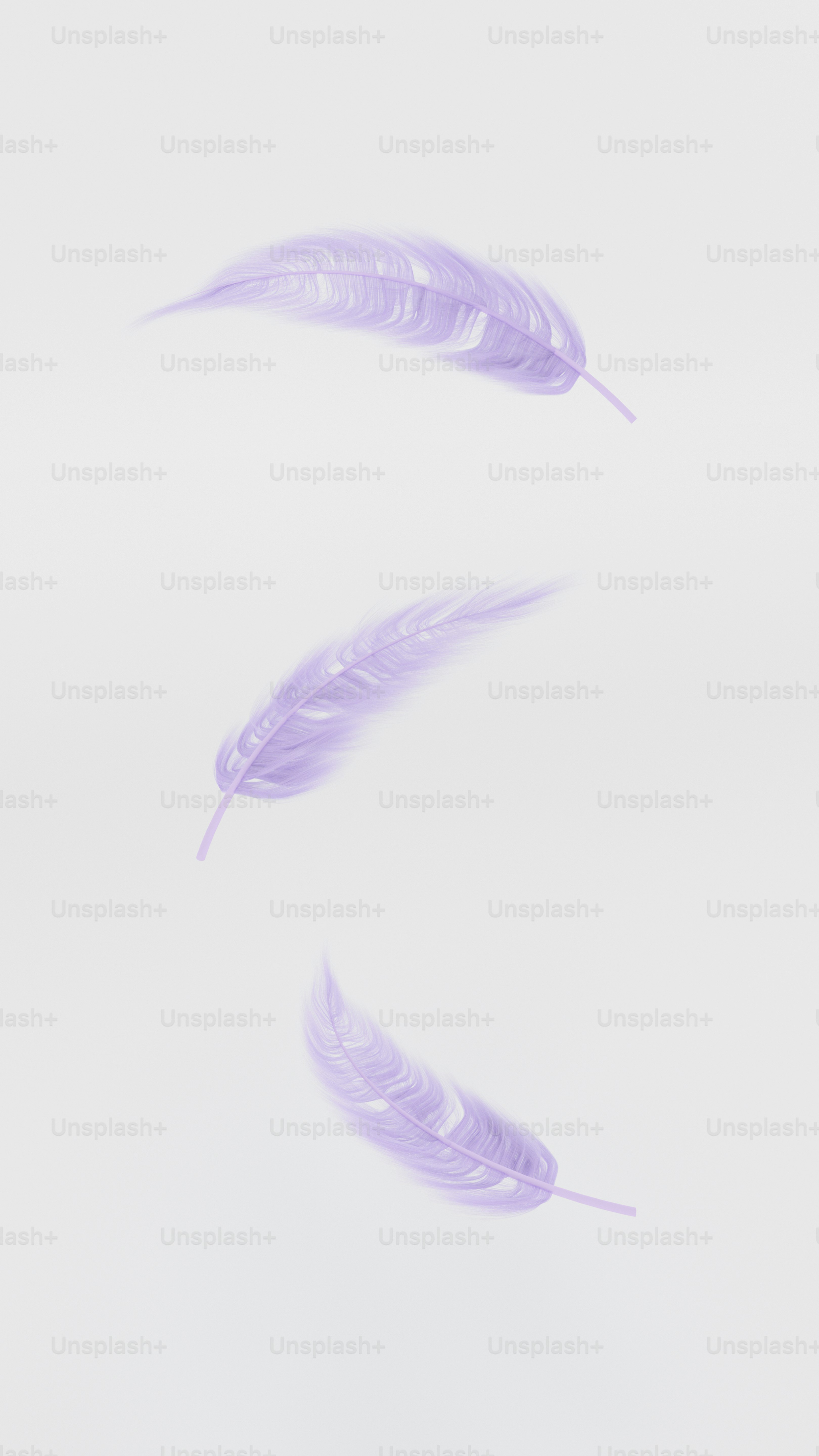 a couple of purple feathers floating in the air