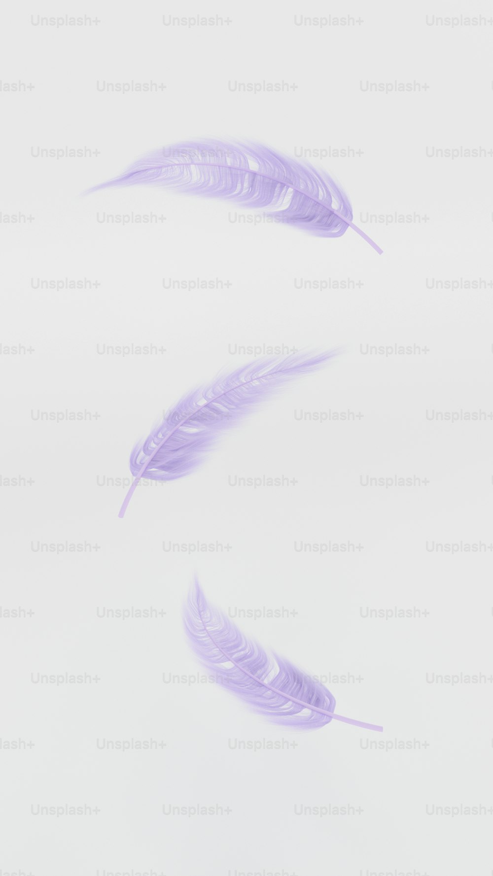 a couple of purple feathers floating in the air