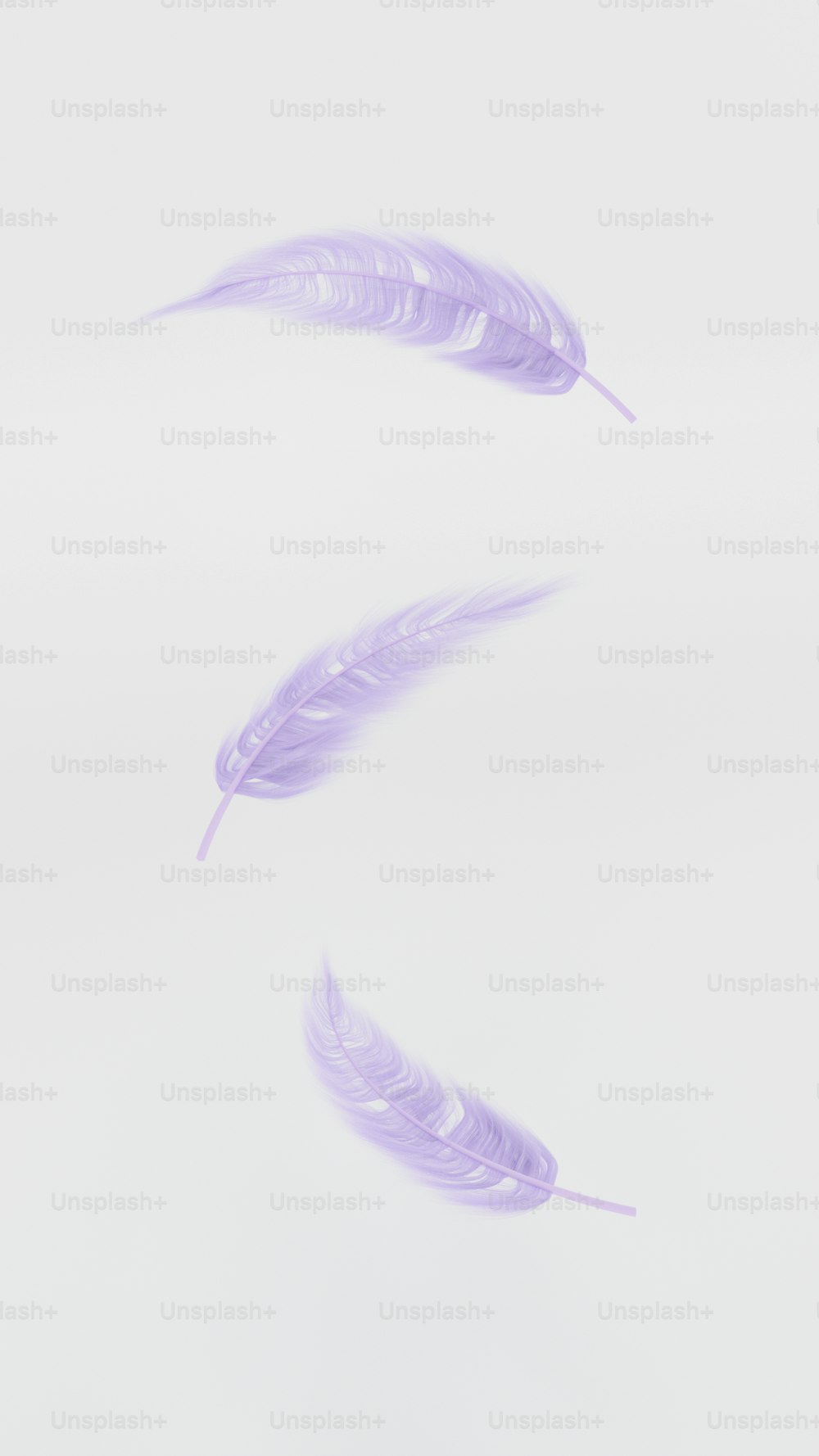 a couple of purple feathers floating in the air