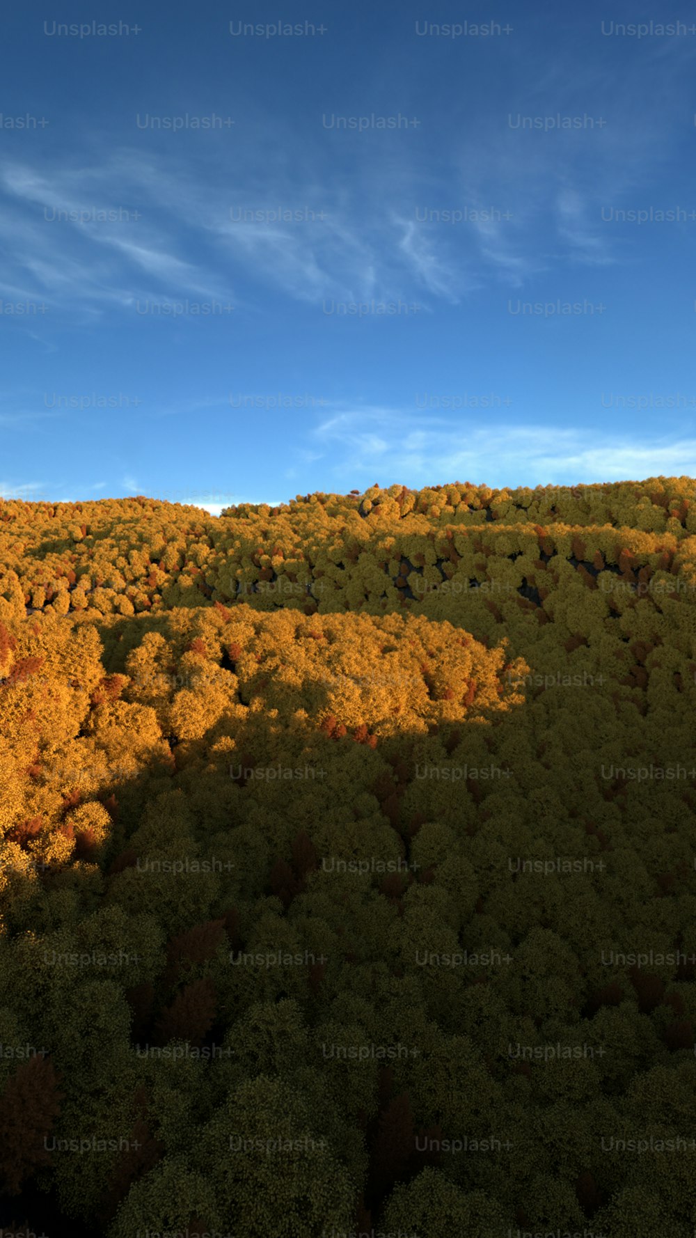 an aerial view of a lush green forest under a blue sky
