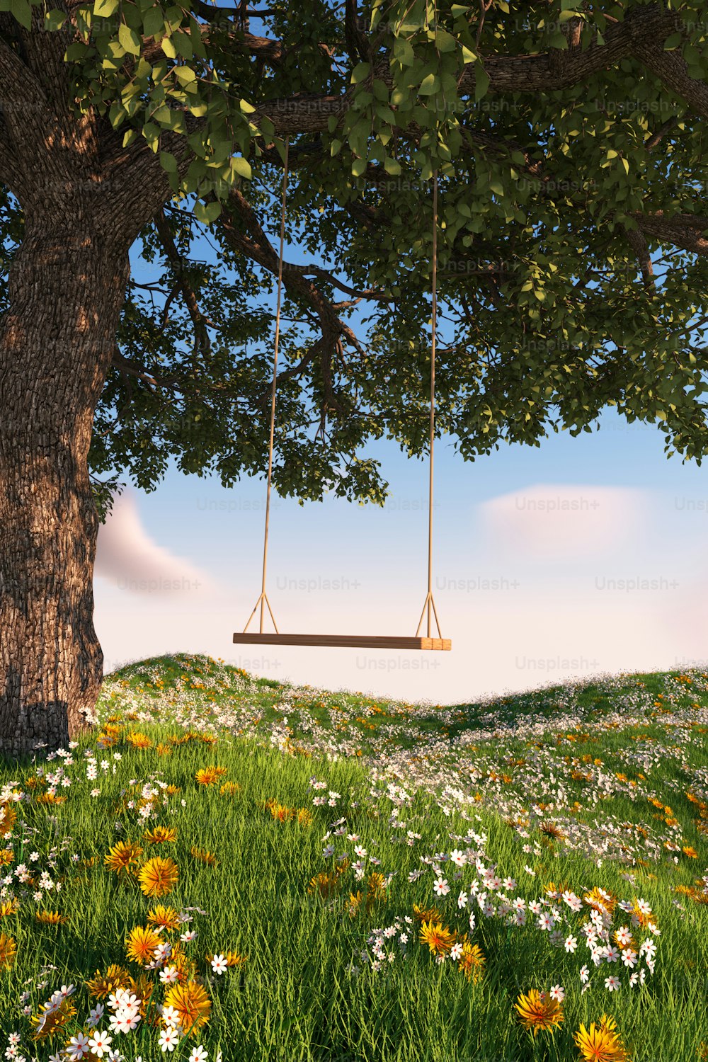 a tree with a swing hanging from it