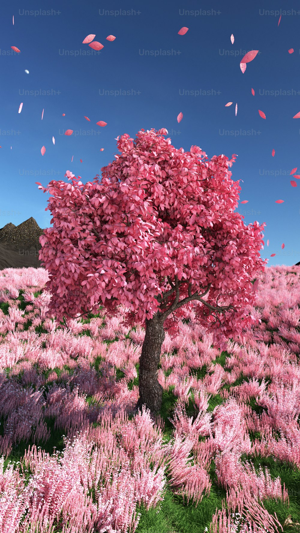 보라색 꽃밭에 있는 분홍색 나무