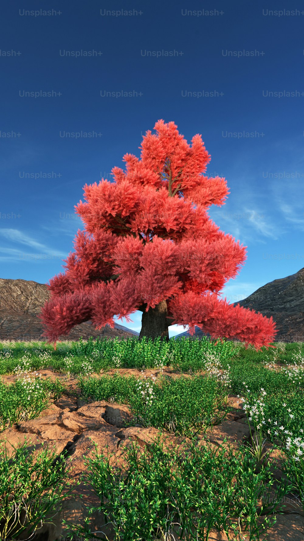 uma árvore vermelha no meio de um campo