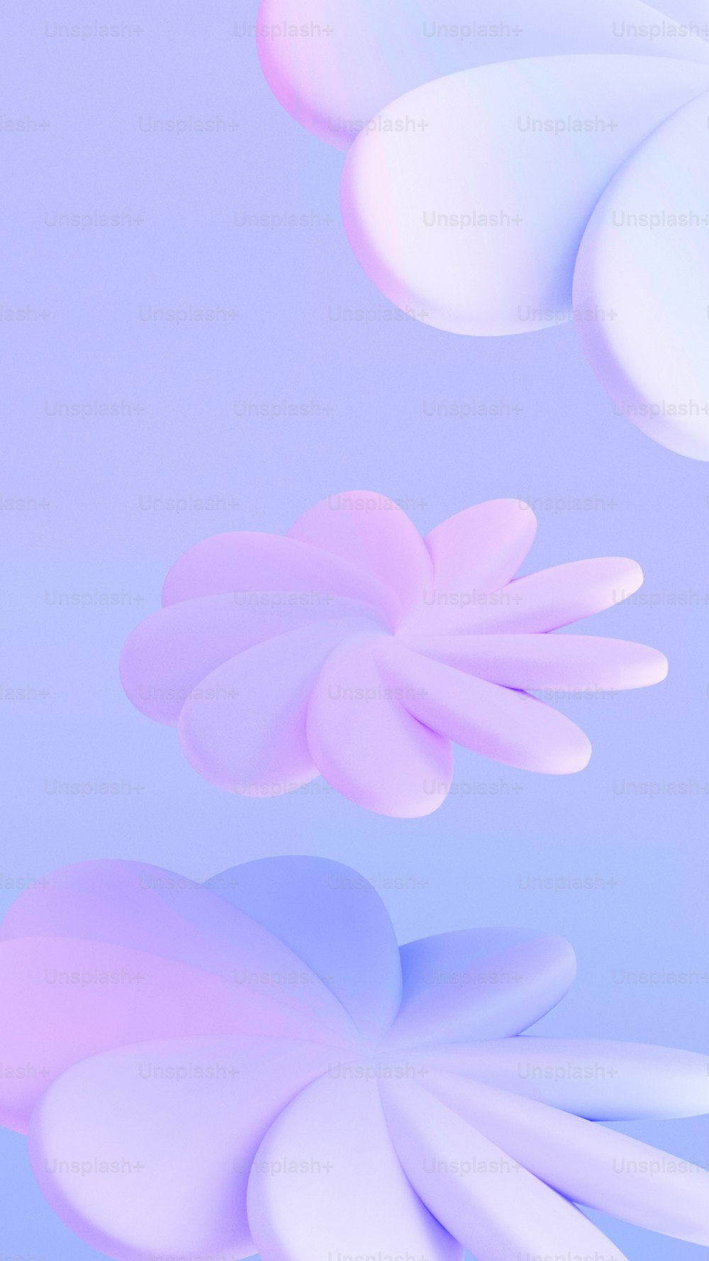 空中に浮かぶ白とピンクの花