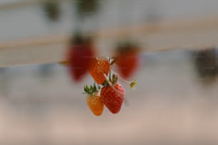 a group of strawberries hanging from a line