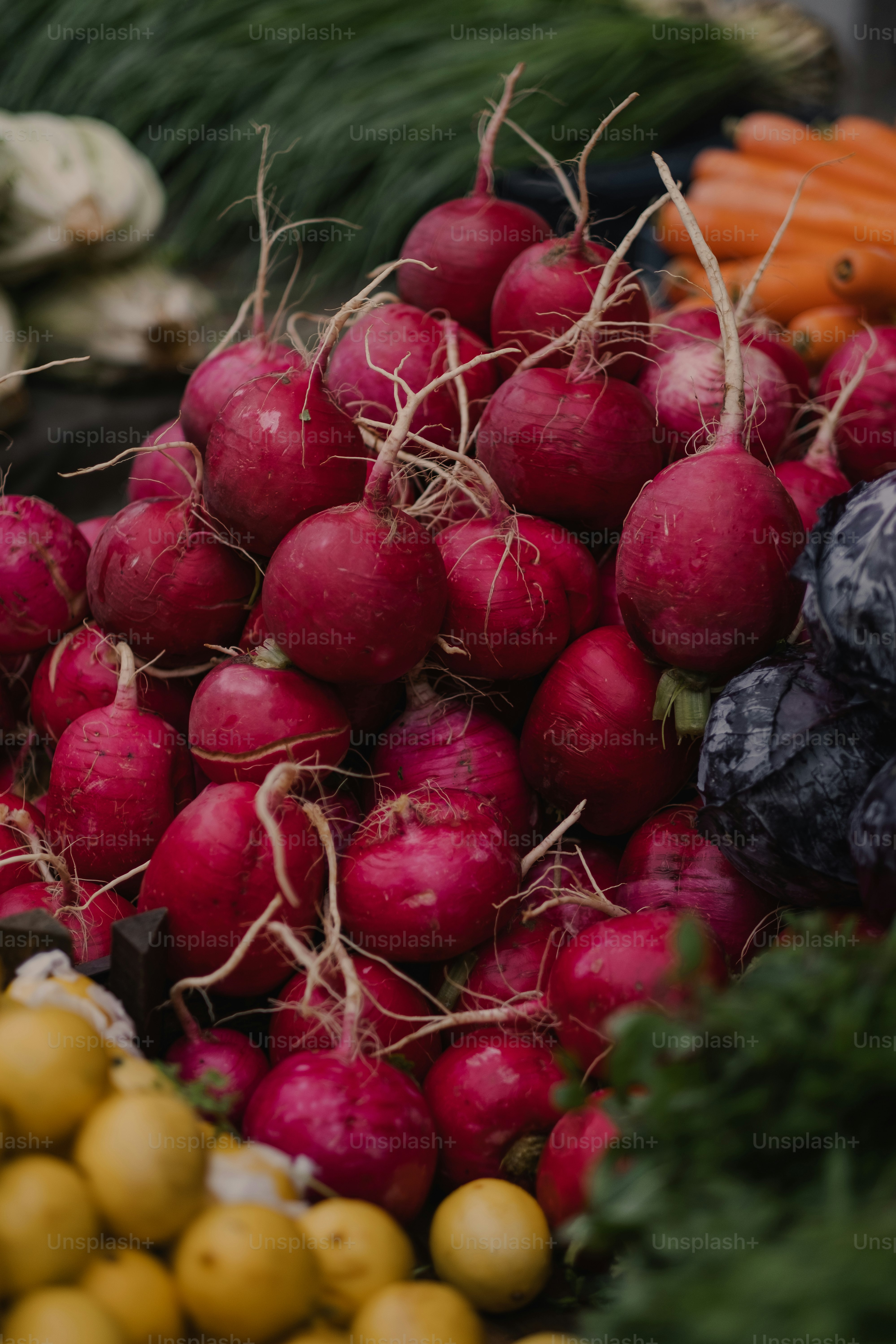 ein Haufen Radieschen, der auf einem Haufen Karotten sitzt