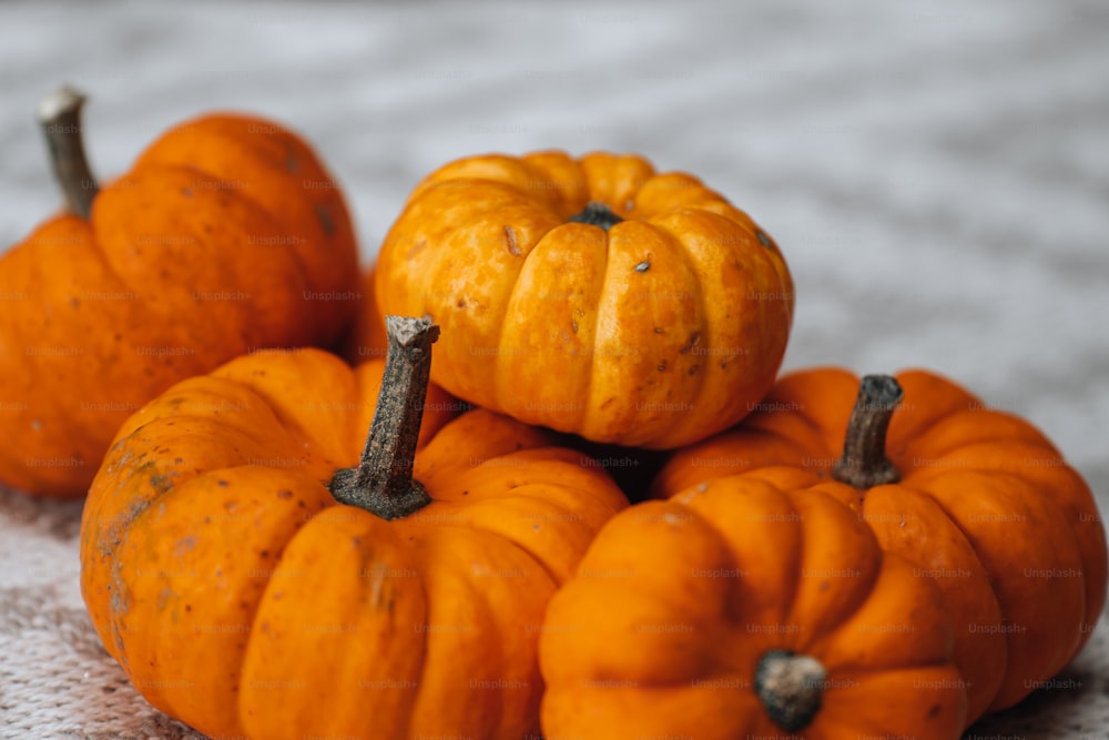 a group of small pumpkins sitting on top of a table
