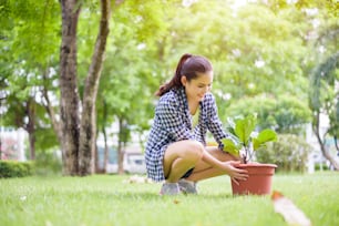 La mujer está plantando el árbol en el jardín