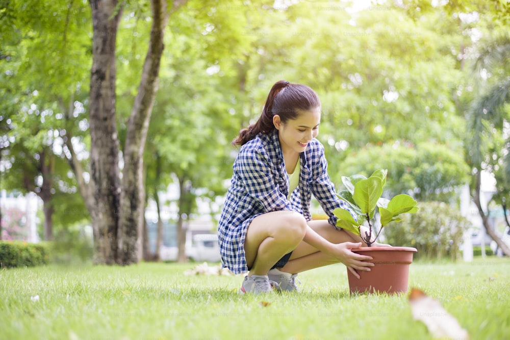 woman is planting the tree in the garden