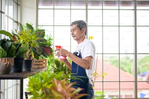 Un pensionato asiatico anziano felice che spruzza e innaffia l'albero gode di attività ricreative a casa