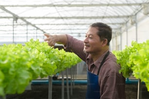 Um agricultor sênior feliz que trabalha em uma fazenda de estufa hidropônica, alimentos limpos e conceito de alimentação saudável