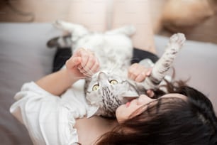 Mulher amante do gato asiático bonita está brincando com o gato em seu quarto