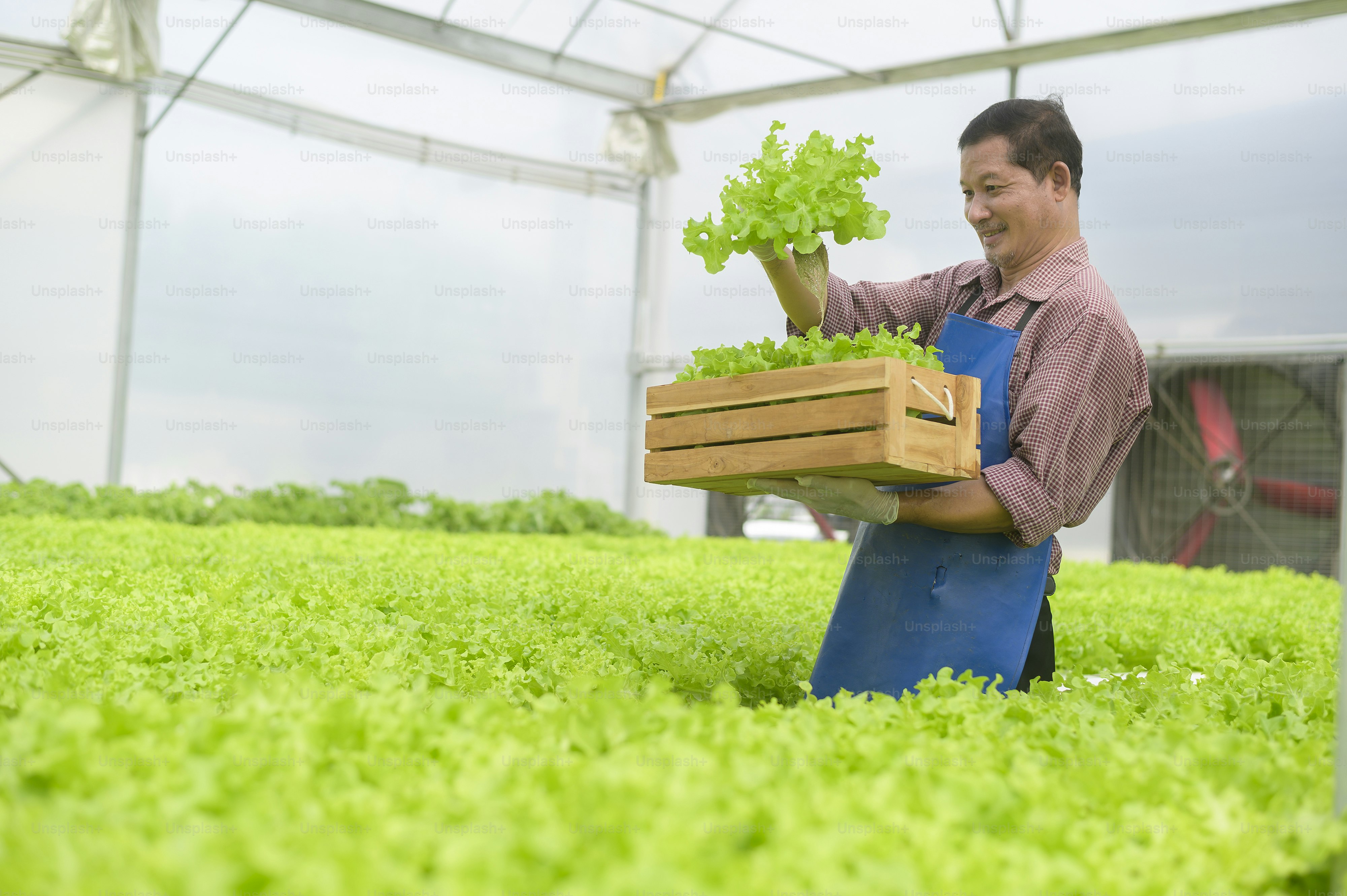 premium_photo-1667509300474-aa980aeee695?ixid=M3wxMjA3fDB8MXxzZWFyY2h8MTd8fGFncmljdWx0dXJlJTIwZXhwb3J0JTIwc2VydmljZXN8ZW58MHx8fHwxNzcwMDc4NTU5fDA\u0026ixlib=rb-4.1.0