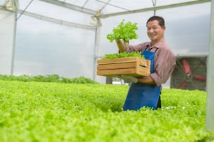 A happy senior farmer working in hydroponic greenhouse farm, clean food and healthy eating concept