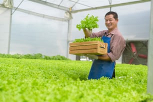 Un agricoltore anziano felice che lavora in una fattoria idroponica in serra, cibo pulito e concetto di alimentazione sana