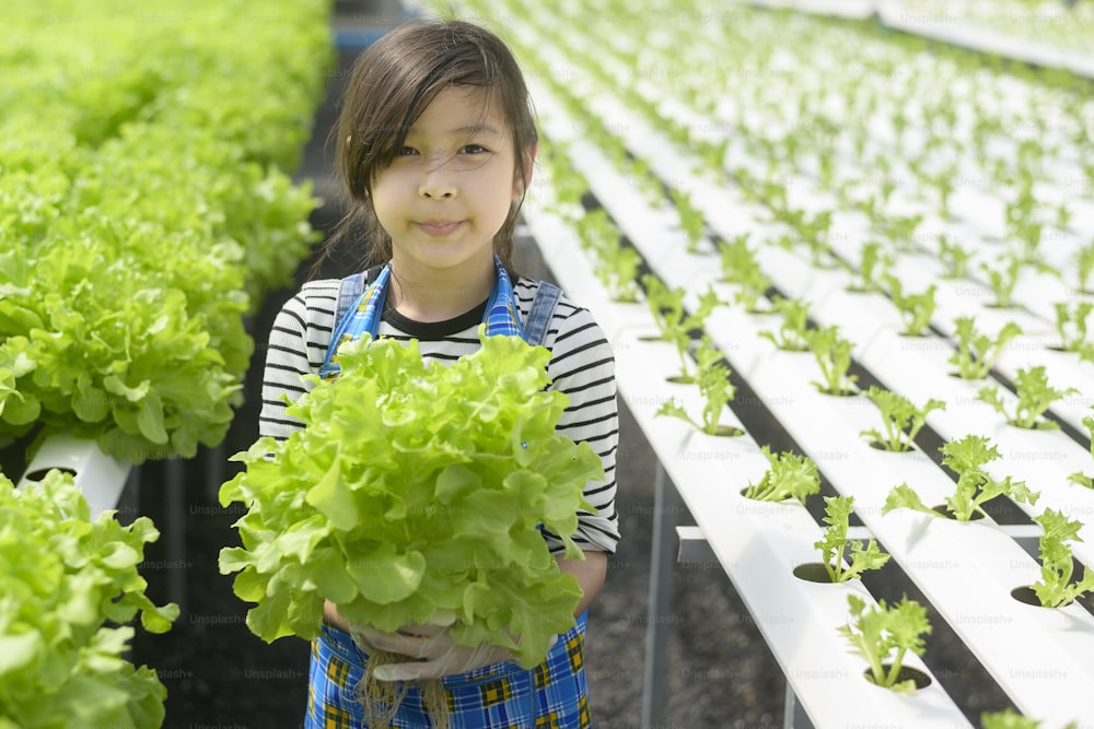 A happy cute girl learning and studying in hydroponic greenhouse farm, education and scientist concept