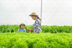 Mamma e figlia felici dell'agricoltore che lavorano in una fattoria idroponica in serra, cibo pulito e concetto di alimentazione sana