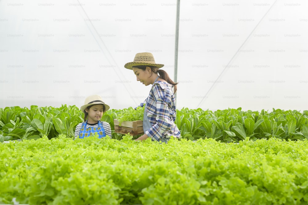 Mamma e figlia felici dell'agricoltore che lavorano in una fattoria idroponica in serra, cibo pulito e concetto di alimentazione sana