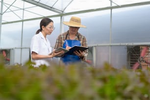 Scientist provide a consultation and suggestion to farmer in hydroponic greenhouse farm, clean food and food science concept