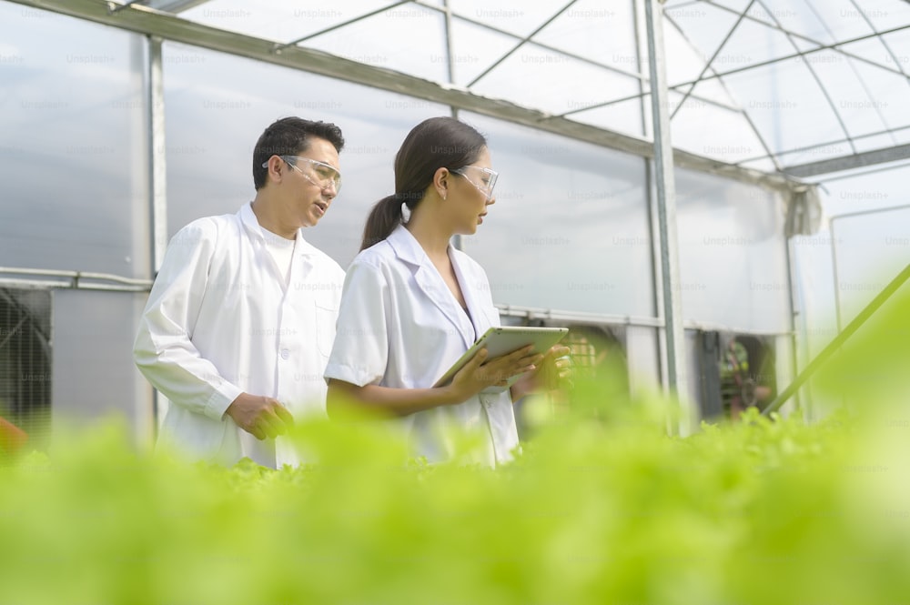 수경 온실 농장, 깨끗한 식품 및 식품 과학 개념에서 일하는 과학자