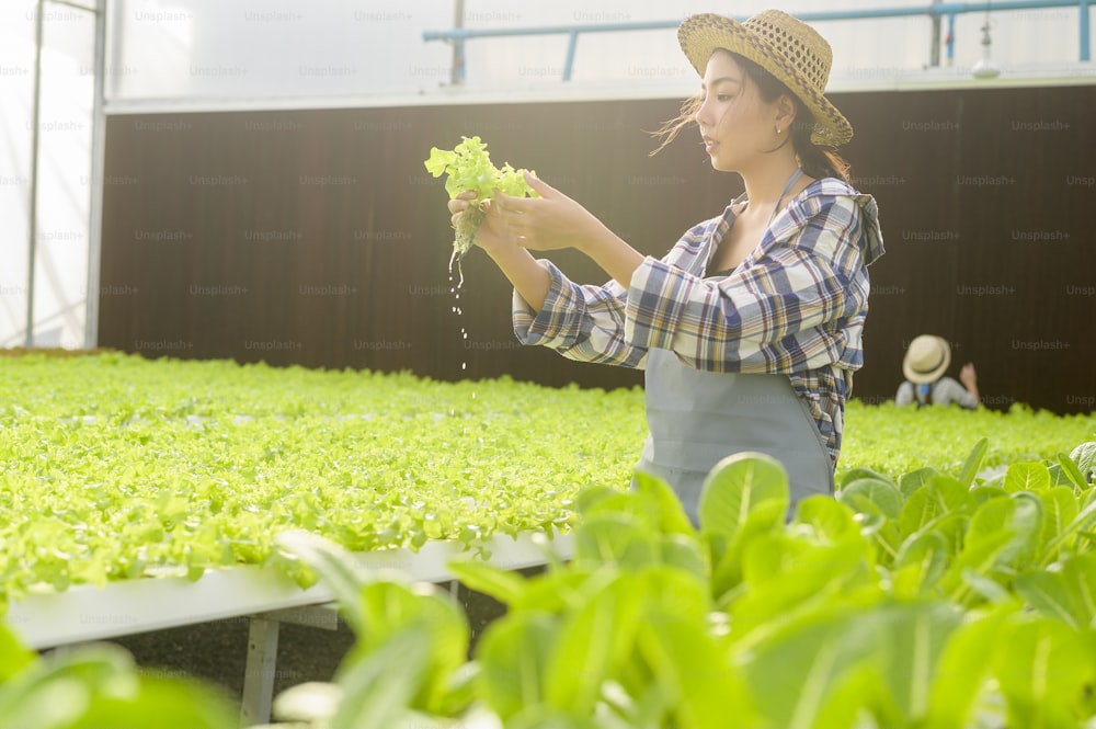 Eine junge Bäuerin arbeitet in einer hydroponischen Gewächshausfarm, einem Konzept für saubere Lebensmittel und gesunde Ernährung