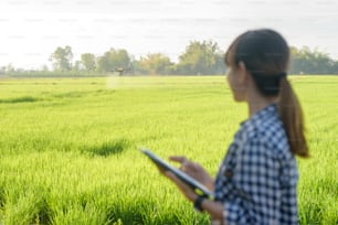 Una giovane agricoltrice intelligente con tablet sul campo, innovazioni ad alta tecnologia e agricoltura intelligente