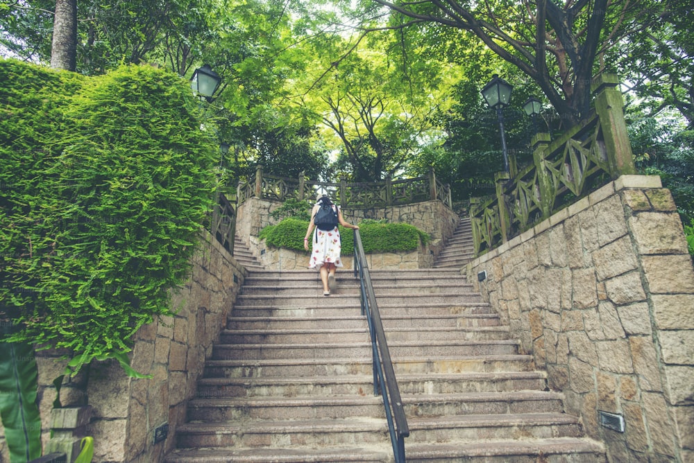 Tree-lined brick path through the forest at Fort Canning Park, one of Singapore's public green spaces.