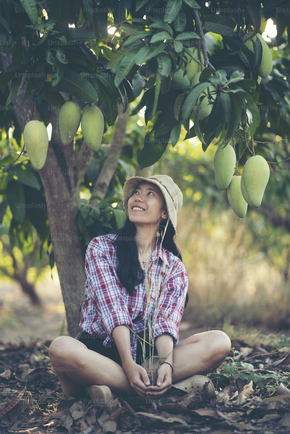 young farmer enjoy with mango