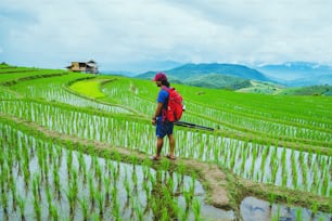 man asians travel nature. Travel relax. Walking take a photo on the field. in summer.